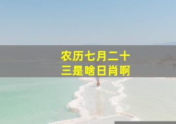 农历七月二十三是啥日肖啊