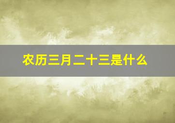 农历三月二十三是什么