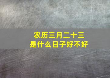 农历三月二十三是什么日子好不好