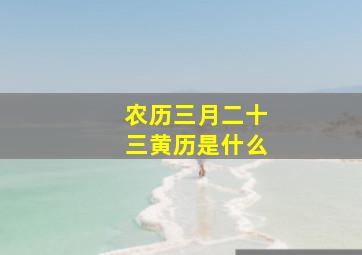 农历三月二十三黄历是什么