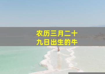 农历三月二十九日出生的牛