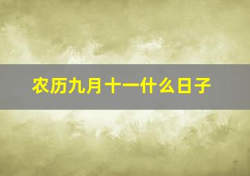 农历九月十一什么日子