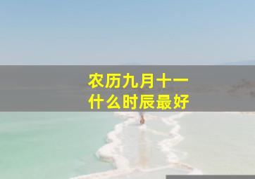 农历九月十一什么时辰最好