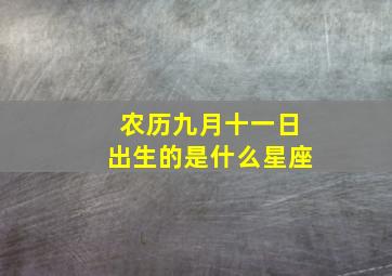 农历九月十一日出生的是什么星座