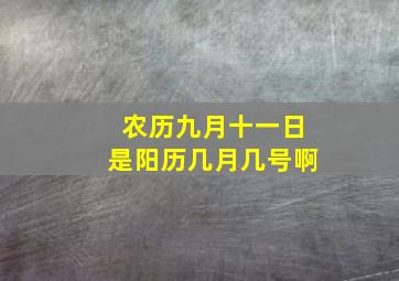 农历九月十一日是阳历几月几号啊