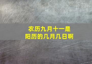 农历九月十一是阳历的几月几日啊