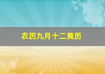 农历九月十二黄历