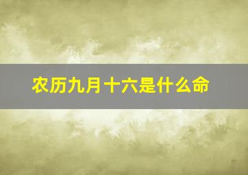 农历九月十六是什么命