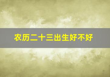 农历二十三出生好不好