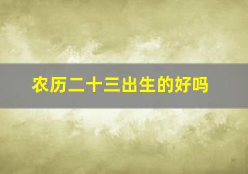 农历二十三出生的好吗