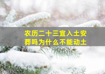 农历二十三宜入土安葬吗为什么不能动土