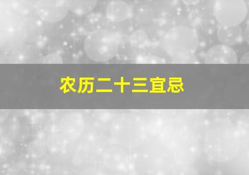 农历二十三宜忌