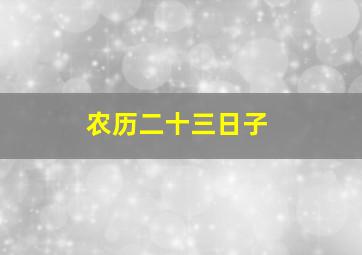 农历二十三日子