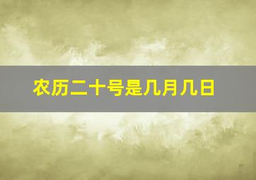 农历二十号是几月几日