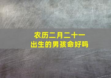 农历二月二十一出生的男孩命好吗