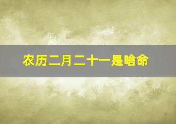 农历二月二十一是啥命