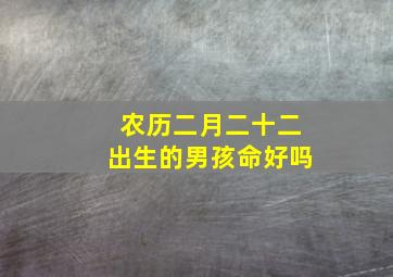 农历二月二十二出生的男孩命好吗