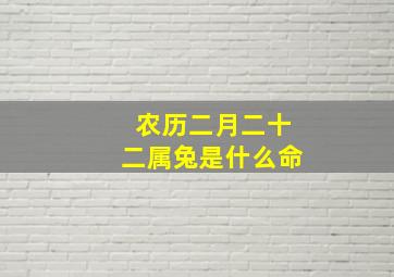 农历二月二十二属兔是什么命