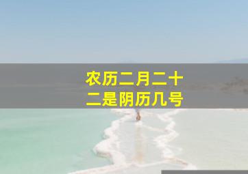 农历二月二十二是阴历几号