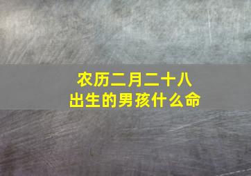 农历二月二十八出生的男孩什么命