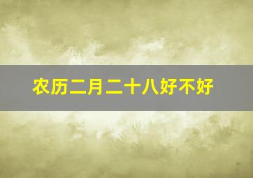 农历二月二十八好不好