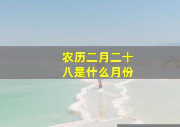 农历二月二十八是什么月份