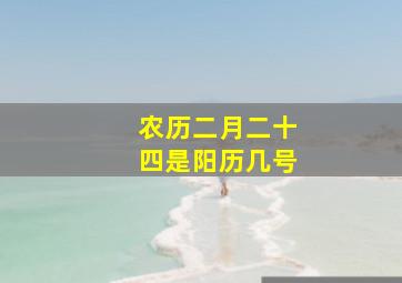 农历二月二十四是阳历几号