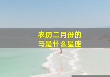 农历二月份的马是什么星座