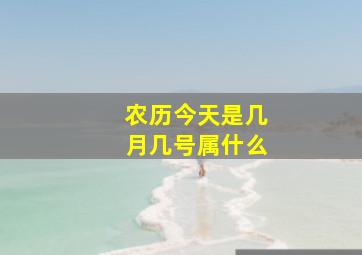 农历今天是几月几号属什么