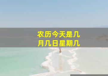 农历今天是几月几日星期几