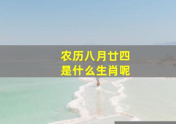 农历八月廿四是什么生肖呢