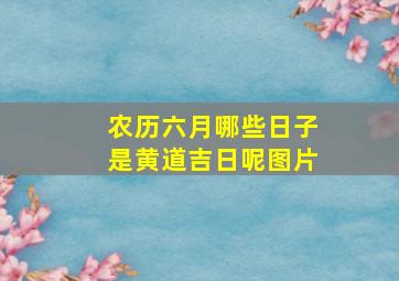 农历六月哪些日子是黄道吉日呢图片