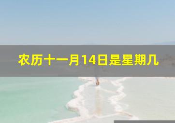 农历十一月14日是星期几