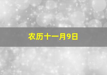 农历十一月9日