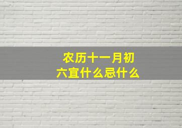 农历十一月初六宜什么忌什么