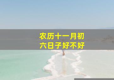 农历十一月初六日子好不好