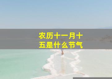 农历十一月十五是什么节气