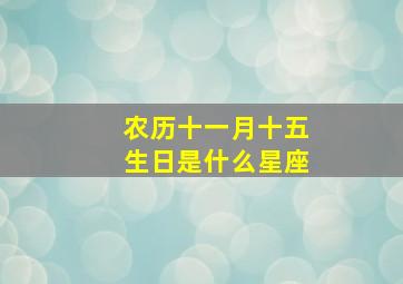 农历十一月十五生日是什么星座