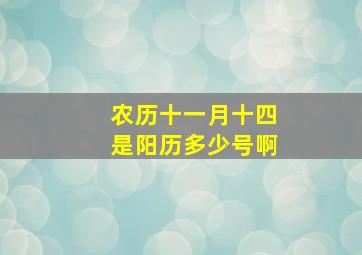 农历十一月十四是阳历多少号啊