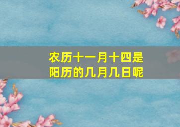 农历十一月十四是阳历的几月几日呢