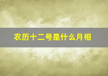 农历十二号是什么月相