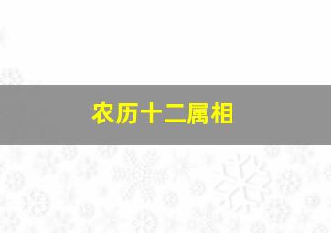 农历十二属相