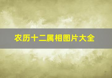 农历十二属相图片大全