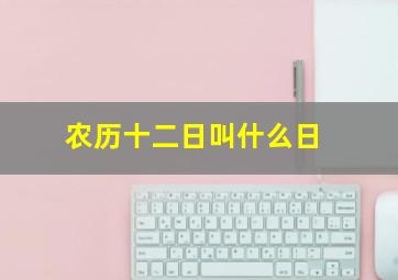 农历十二日叫什么日