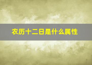 农历十二日是什么属性