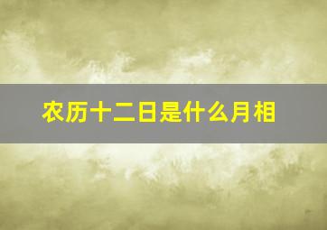 农历十二日是什么月相