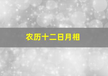 农历十二日月相