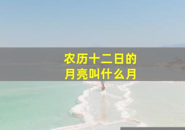 农历十二日的月亮叫什么月