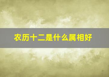 农历十二是什么属相好