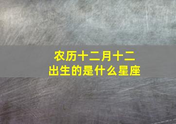 农历十二月十二出生的是什么星座